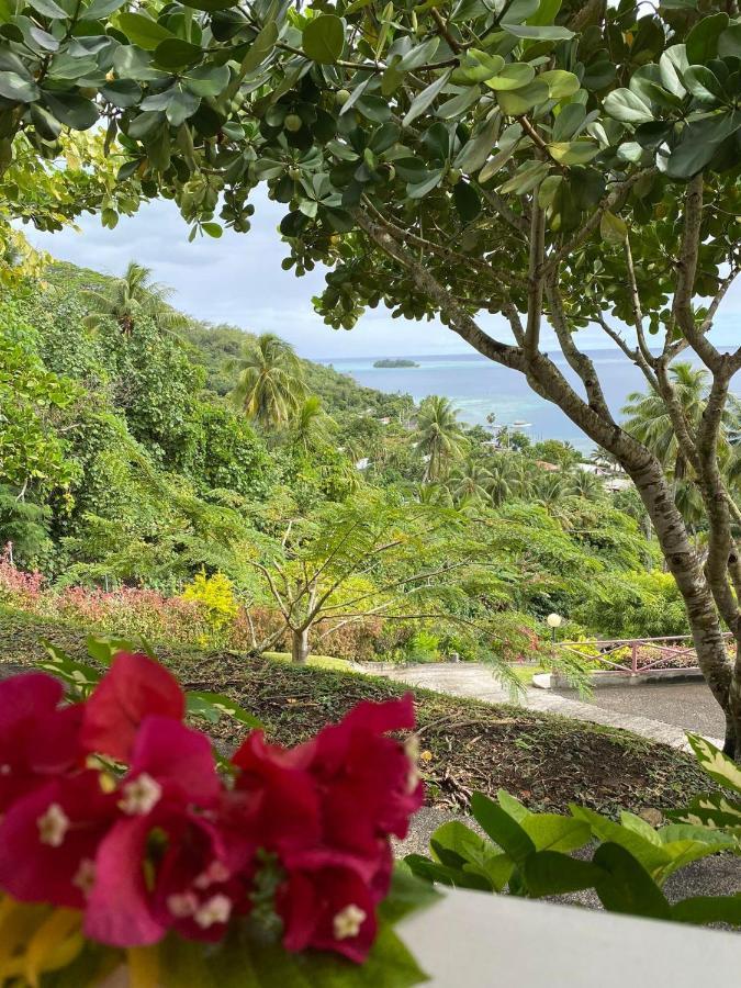 Bora Bora Holiday'S Lodge Esterno foto